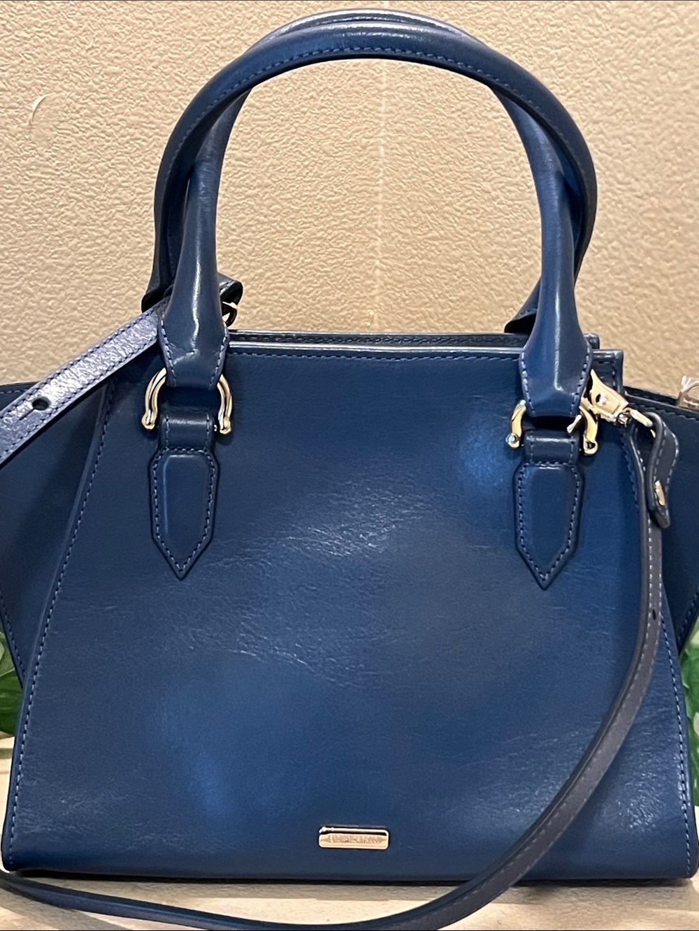 Brahmin bag
